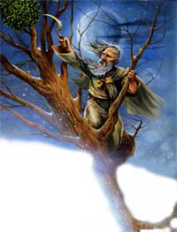 Druide - entnommen aus http://planetejeanjaures.free.fr