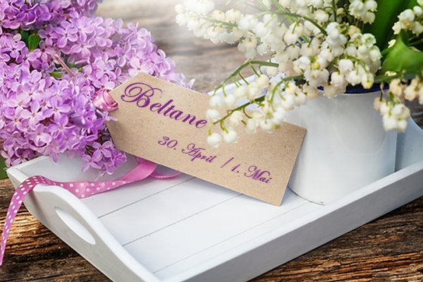 Beltane - passende Fr&uuml;hlingsblumen