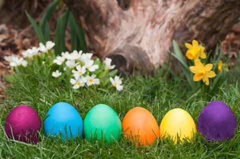 Fr&uuml;hlingsgaben f&uuml;r das Ostarafest