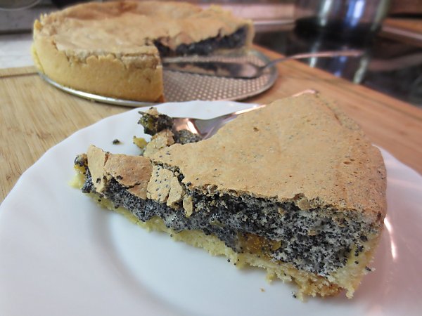Mohnkuchen mit Trockenaprikosen auf Knusperboden